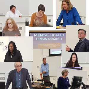 Speakers at the Mental Health Crisis Summit